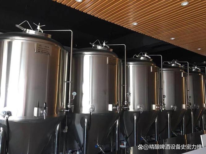 恩阳开精酿吧原浆自酿啤酒设备多少钱一套?家用商用怎么选不踩坑